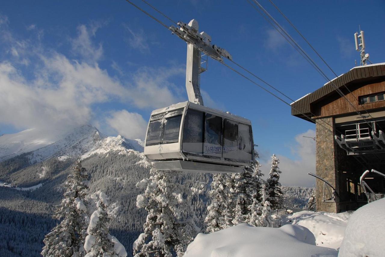 Liliowe Turnie Zakopane-ul. Małaszyńskiego Zewnętrze zdjęcie