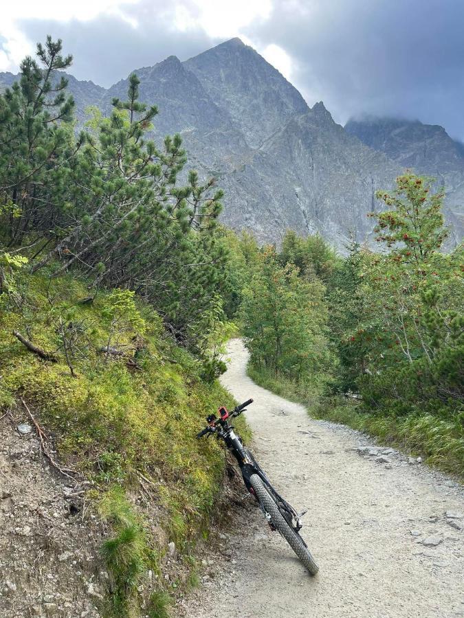 Liliowe Turnie Zakopane-ul. Małaszyńskiego Zewnętrze zdjęcie