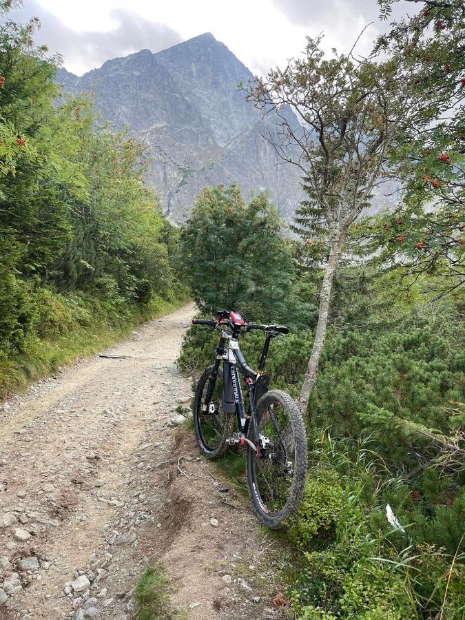 Liliowe Turnie Zakopane-ul. Małaszyńskiego Zewnętrze zdjęcie